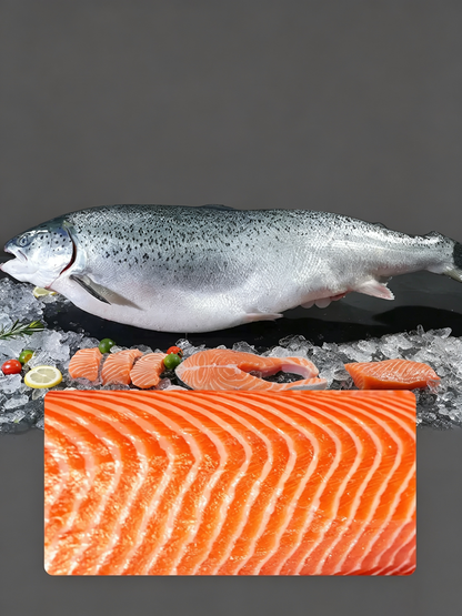 Fresh Salmon Sashimi