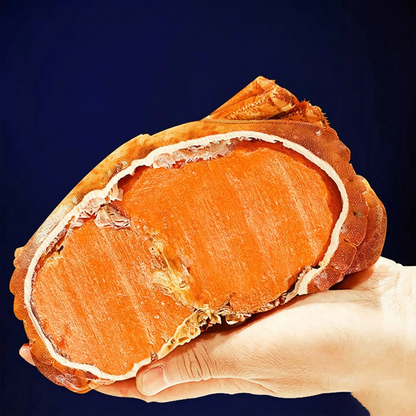 Frozen Cooked Brown Crab