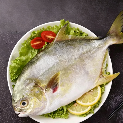 Frozen Golden Pomfret