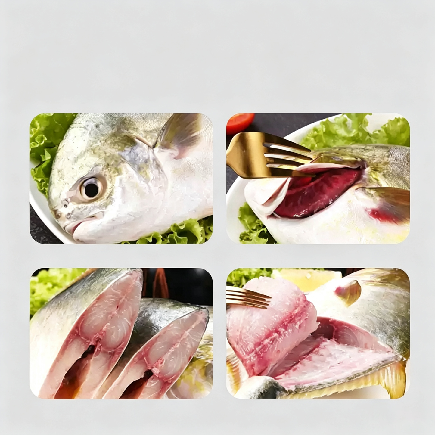 Frozen Golden Pomfret