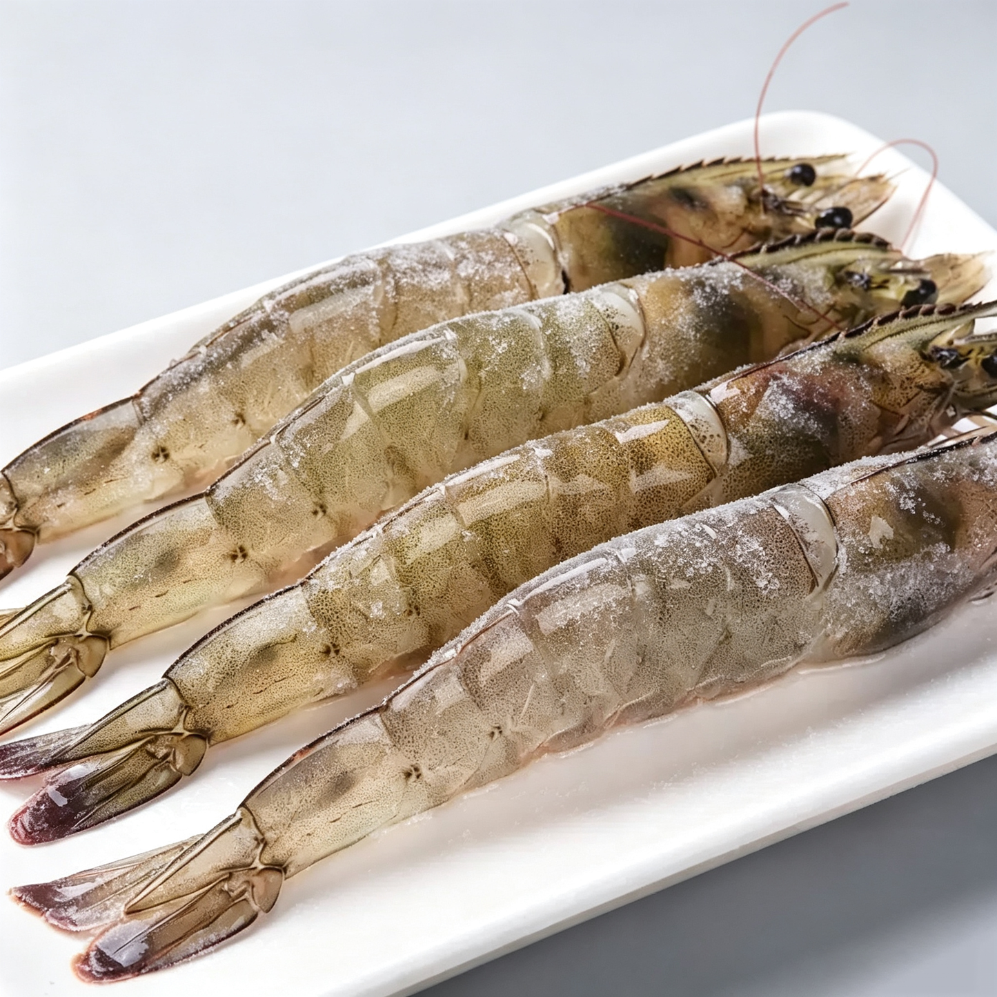 Frozen Raw Large Prawns