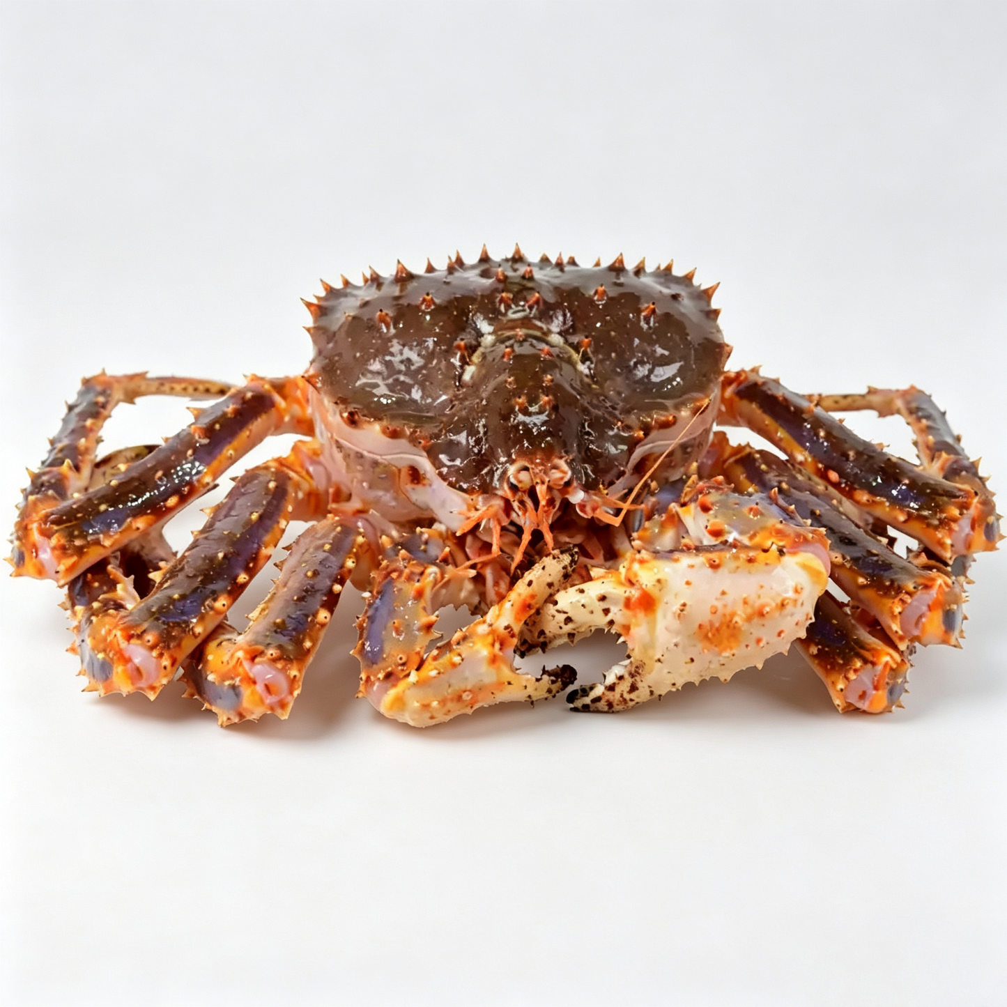 Frozen Whole King Crab