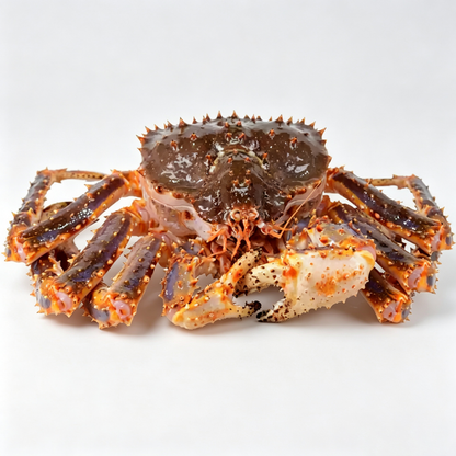 Frozen Whole King Crab