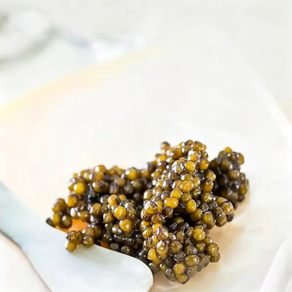 Sturgeon Caviar
